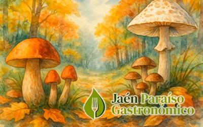 Setas y otoño: la micología como atractivo turístico